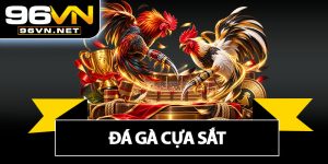 Đá Gà Cựa Sắt